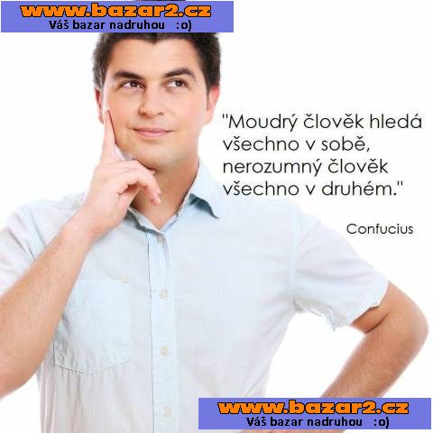 Online podnikání