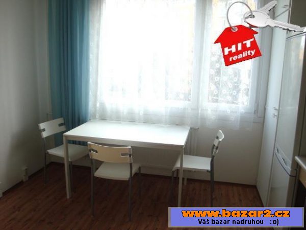 Pronájem bytu 1+1, 40 m2, Manětínská ul., Plzeň -