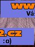 KOŽENÁ BUNDA