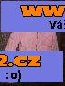 KOŽENÁ BUNDA