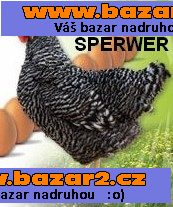 KUŘICE - 4 DRUHY- DOVOZ ZDARMA!