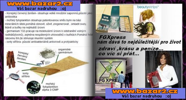 FGXPRESS - NÁPLAST POWERSTRIPS pro celou ČR + SK