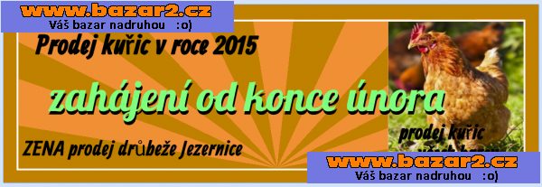 Prodej Slepic a kuřic ve stáří 8-18.týdnů