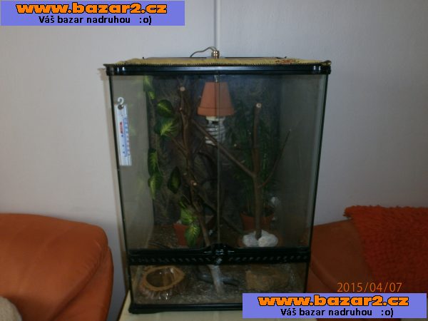 Terarium
