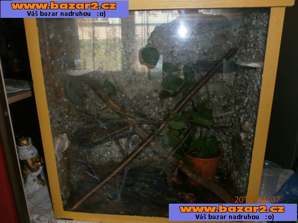Terarium