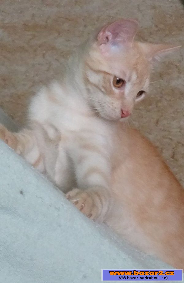 Monty a Damián