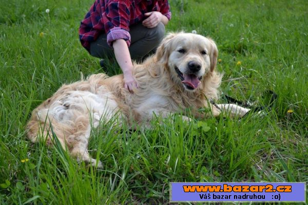 Monty, darujem za vet. poplatky