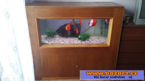 Akvárium 300 l s příslušenstvím