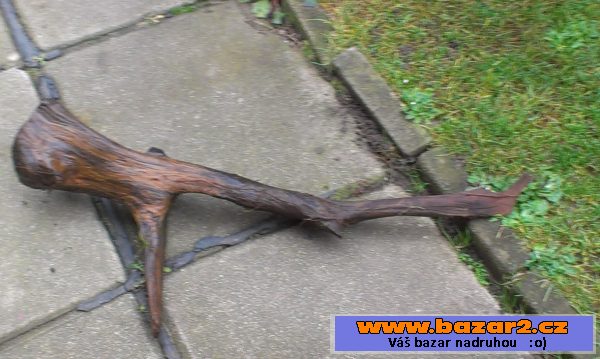 Akvarijní kořeny