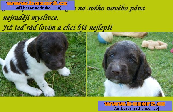 MMO-pejsek,odběr po 1.7.2015, CHS Císaře Leopolda