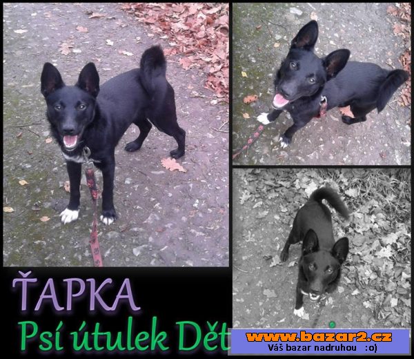 Šiperka