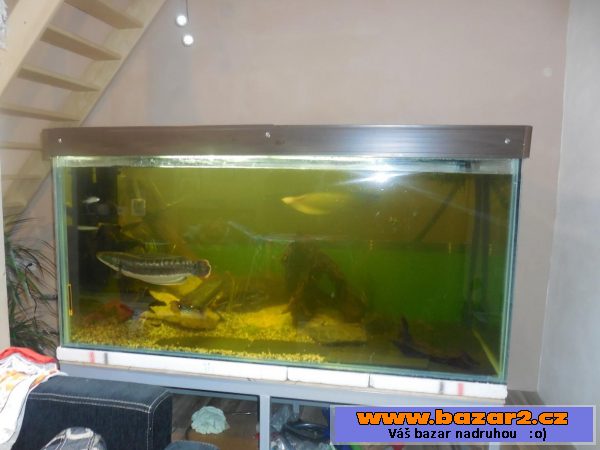 Akvarium 1300 l 