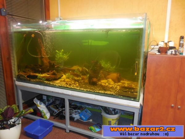 Akvarium 1300 l 