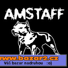 Yakuza, Amstaff, Babystaff, atd...