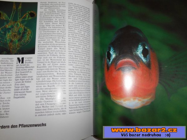 Von Wilden Wassern Und Eins Mooren