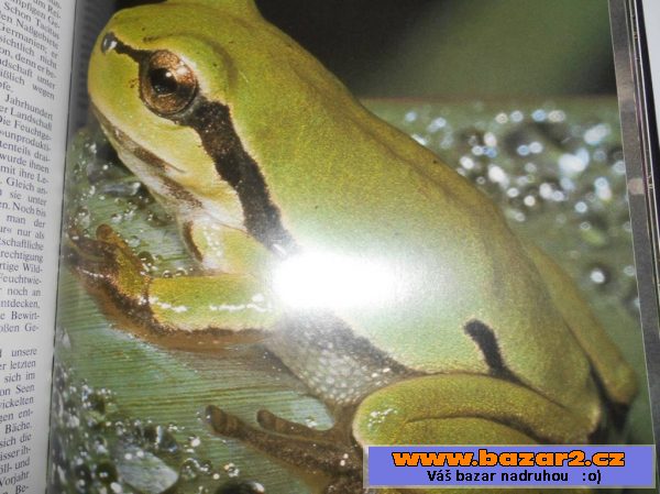 Von Wilden Wassern Und Eins Mooren