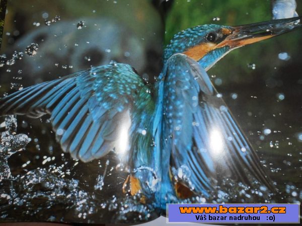 Von Wilden Wassern Und Eins Mooren