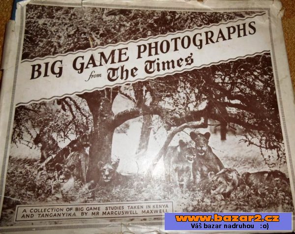 Big Game Photographs from The Times