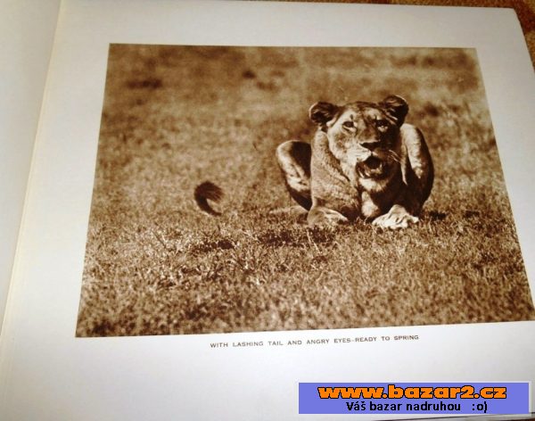 Big Game Photographs from The Times
