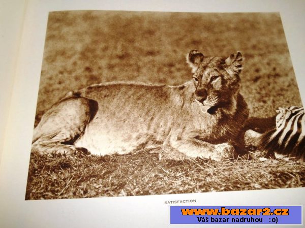 Big Game Photographs from The Times