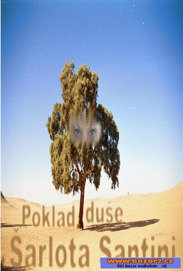Poklad duše - Šarlota Santini