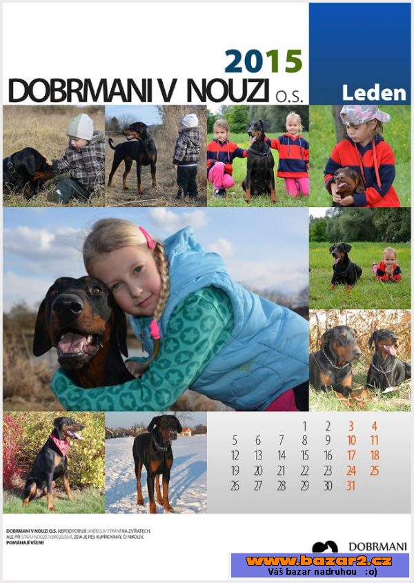 Kalendář 2015 Dobrmani v nouzi o.s.