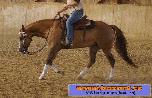 QH Kobylku 2009