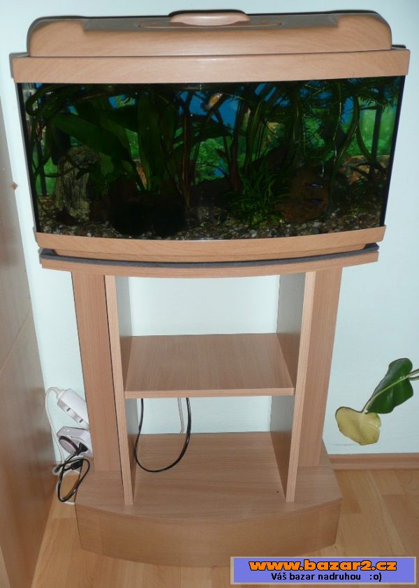Zařízené akvarium i s rybičkami