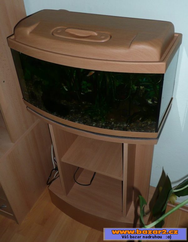 Zařízené akvarium i s rybičkami