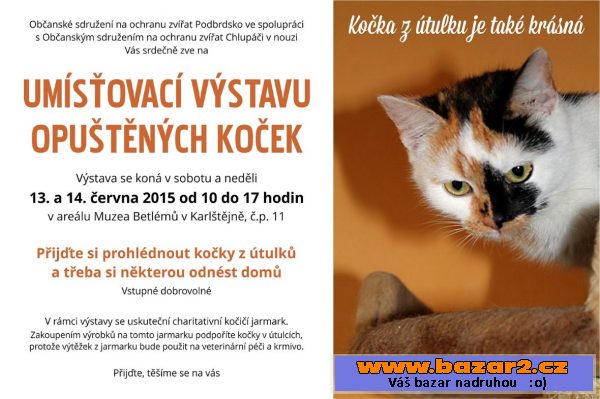 Výstava koček na Karlštejně 