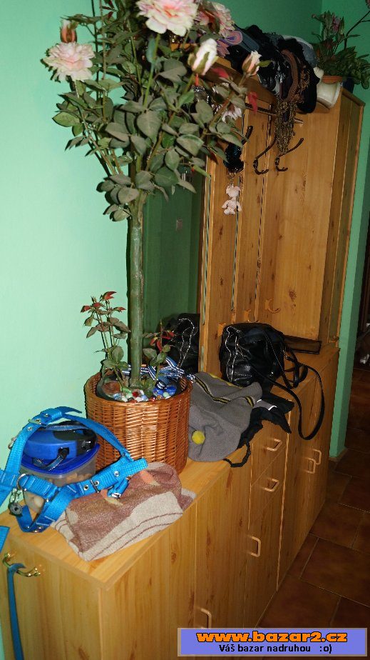Botník, věšák, skříňka