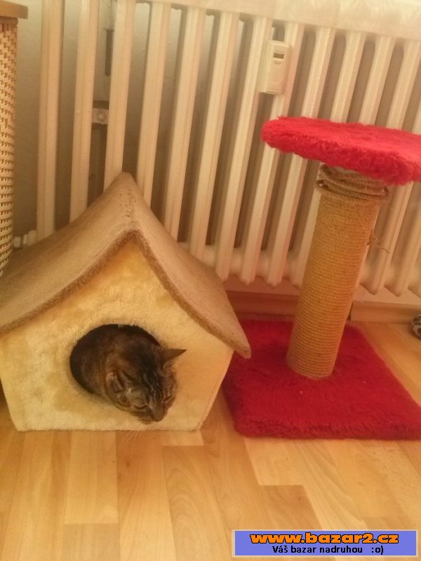 Kocici Domecek,Houpacka,Skrabadlo.