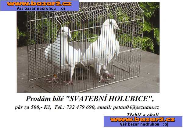 Prodej bílých 
