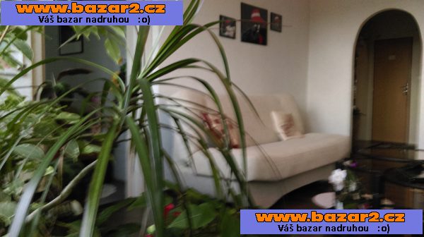 Prodám družstevní byt 3+1 s lodžií