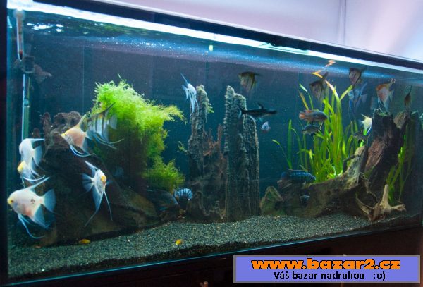 Akvárium 500L se skříňkou + přísluš