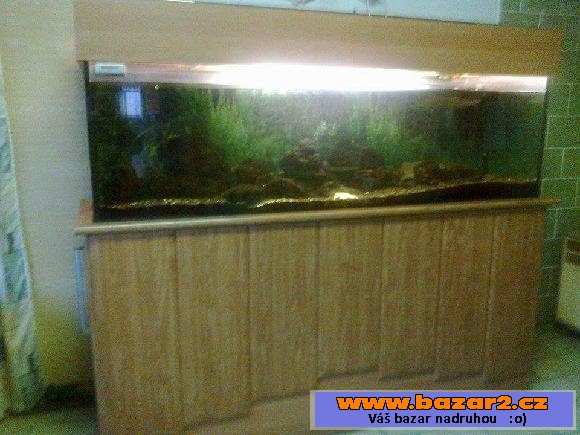 Kompletně zařízené akvarium