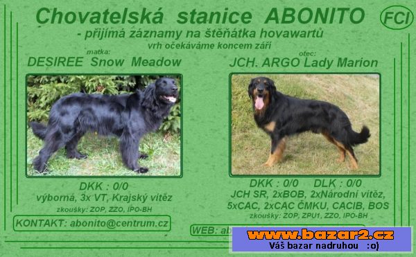 Hovawart - fenečka,PP,černoznakatá
