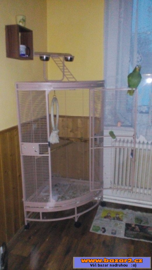Prodám amazoňáka jménem Pepa