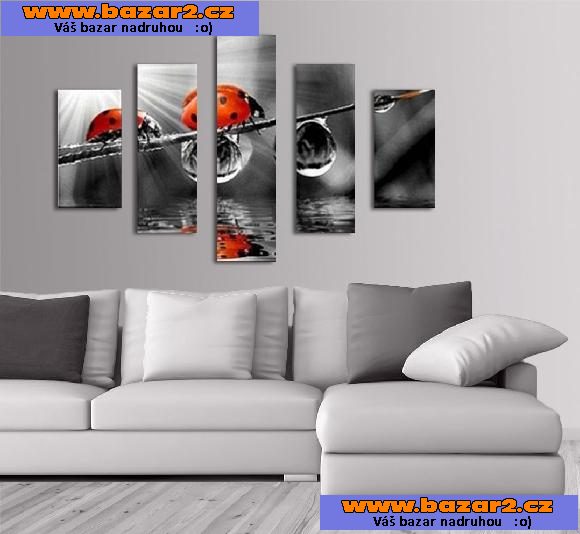 Fotoobraz, moderní obraz - BERUŠKY - velikost 100 x 70 cm