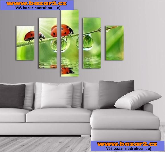 Fotoobraz, moderní obraz - BERUŠKY V ZELENÉ - velikost 100 x 70 cm