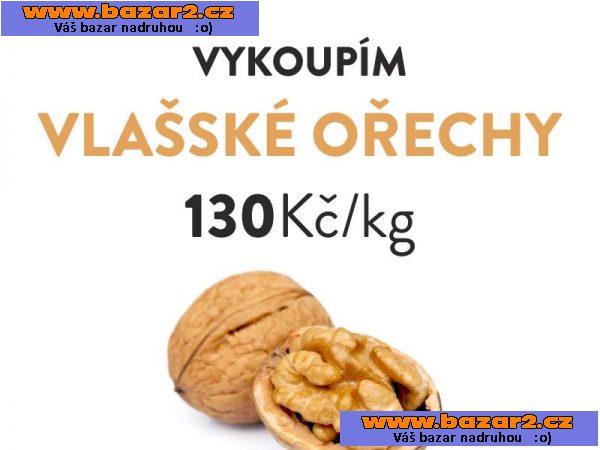 Vykupuju vlašské ořechy 130 Kč / kg