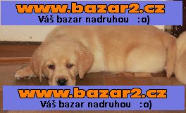 Štěňátka  labradorského retrivra s PP