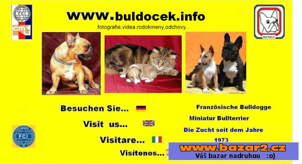 Francouzský buldoček