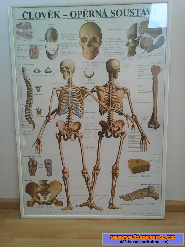 Zarámovaný plakát Člověk - OS