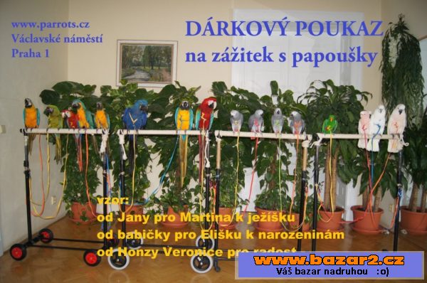 Daruji dárkový poukaz na zážitek.
