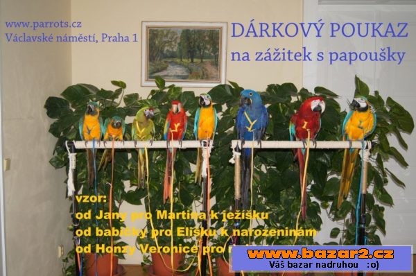 Daruji dárkový poukaz na zážitek.