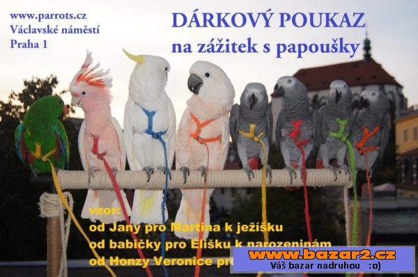 Daruji dárkový poukaz na zážitek.
