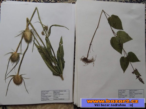 Prodám kvalitní herbář velikosti A3