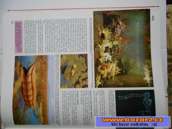 The New Caxton Encyclopedia
