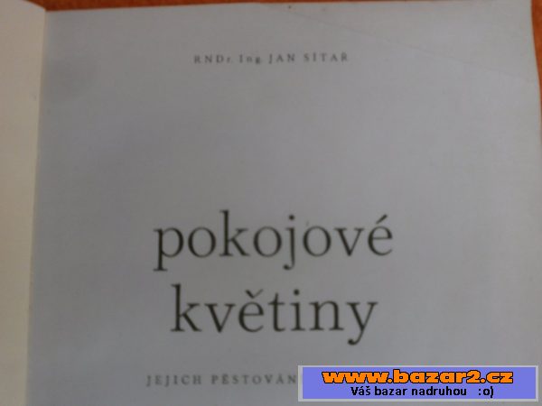 Pokojové květiny - autor Jan Sítař